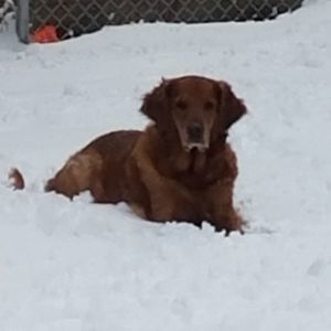 Meet your Posher, Gina